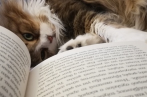 #menoumespiti με την Athens Voice: Η Rights Manager των εκδόσεων Διόπτρα, Γλυκερία Δημητροπούλου, περιγράφει μία μέρα στο σπίτι, εν μέσω πανδημίας κορωνοϊού