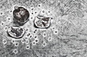 Κριτική για την ποιητική συλλογή της Πηνελόπης Ζαλώνη «Το κέρασμα», που κυκλοφορεί από τις εκδόσεις Βακχικόν.