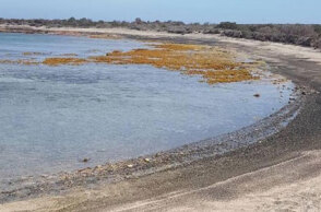 Μίνι «τσουνάμι» από τον σεισμό στην Κρήτη © neakriti.gr