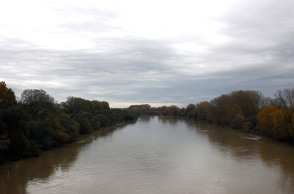 ΕΒΡΟΣ-ΓΕΦΥΡΑ ΚΗΠΩΝ ΕΛΛΗΝΟΤΟΥΡΚΙΚΑ ΣΥΝΟΡΑ / ΕΛΛΗΝΙΚΗ ΠΛΕΥΡΑ 