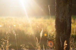 Ξεκινάει ο καύσωνας στην Ελλάδα