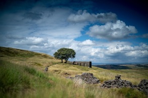 «Ανεμοδαρμένα ύψη» της Έμιλι Μπροντέ: Το αριστούργημα της κλασικής λογοτεχνίας, σε νέα μετάφραση από τις εκδόσεις Ψυχογιός
