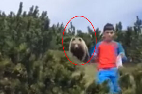 Πώς ένα παιδί στην Ιταλία έμεινε ψύχραιμο, έχοντας απέναντί του μια αρκούδα