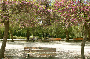 Άνδρες που συζητούσαν σε παγκάκι καταγγέλλουν ότι δέχθηκαν ομοφοβική επίθεση 