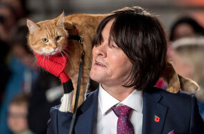 Ο γατούλης Μπομπ