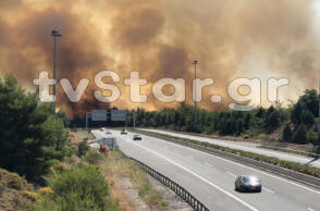 Φωτιά δίπλα στην Εθνική Οδό Αθηνών - Λαμίας στο ύψος του Μαρτίνου  