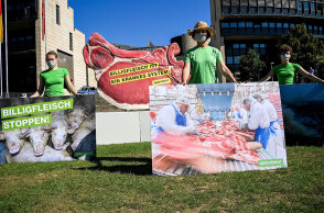 Γερμανία, Κορωνοϊός