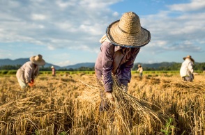 H L’Oréal αποκαλύπτει την επόμενη γενιά των φιλόδοξων στόχων της για τη βιωσιμότητα προς το 2030
