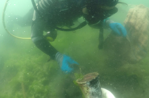 P&G - ΑΒ Βασιλόπουλος: καθαρότερες ελληνικές θάλασσες & ακτές