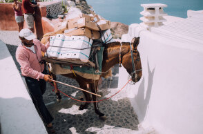 ©Unsplash/ Charlie Marusiak