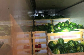 Σε φορτηγό με καρπούζια έκρυβε μετανάστες σπείρα που εξαρθρώθηκε από την ΕΛ.ΑΣ