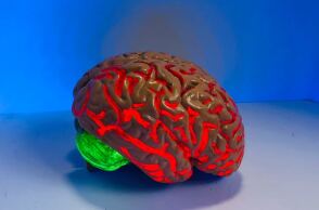 Σοβαρές εγκεφαλικές διαταραχές εμφανίζουν ασθενείς του κορωνοϊού με ήπια συμπτώματα 