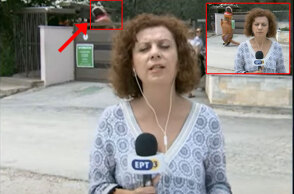 Το live της ΕΡΤ από τη Χαλκιδική είχε και... δεινόσαυρο