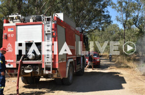 Επί ποδός οι πυροσβέστες στην Ηλεία - Ξέσπασε δασική πυρκαγιά στο Βαρθολομιό
