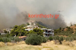 Φωτιά στις Κεχριές Κορινθίας: Σε πύρινο κλοιό κατοικίες - Μάχη με τις φλόγες συνεχίζουν να δίνουν οι πυροσβέστες