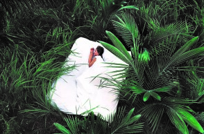 Frezyderm-Crilen: Κρατάει τα κουνούπια μακριά