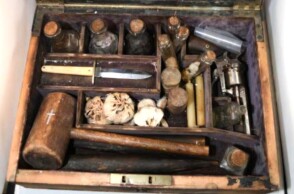 Δημοπρατήθηκε κασελάκι με σύνεργα εξόντωσης βρυκόλακα