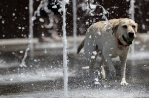 Τα κύρια χαρακτηριστικά του καιρού σήμερα, Κυριακή 2 Αυγούστου 2020 