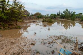 Πλημμύρες στην Εύβοια