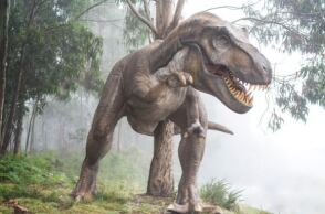 Τυραννόσαυρος 