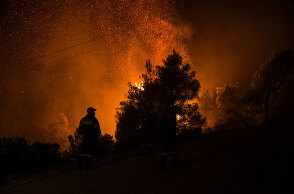 Δασική πυρκαγιά