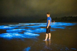 Το πλαγκτόν και η βιοφωταύγεια δημιούργησαν μια εκπληκτική θαλάσσια... ντίσκο σε παραλία στην Ιρλανδία