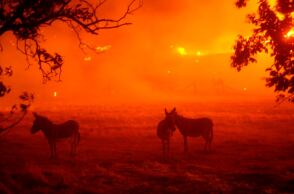 Φωτιές στην Καλιφόρνια 