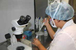 Έρευνες για τον κορωνοϊό