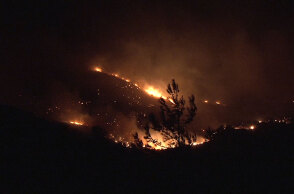 Δασική πυρκαγιά (ΦΩΤΟ ΑΡΧΕΙΟΥ)