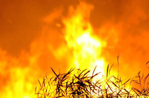 ΑΡΧΕΙΟ - ΦΩΤΙΑ 