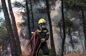 Δασική πυρκαγιά