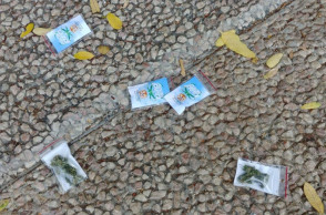 Drone πλημμύρισε με σακουλάκια κάνναβης, κεντρική πλατεία στο Τελ Αβίβ