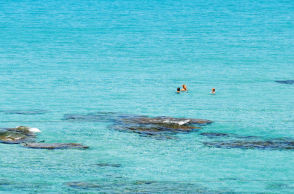 Φαλάσαρνα, Κρήτη