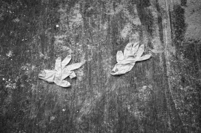 Δημήτρης Μυτάς: Μια ιδιαίτερη αφήγηση της ενδονοσοκομειακής ζωής