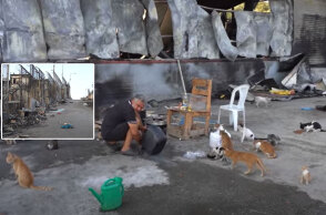 Μετανάστες και πρόσφυγες επιστρέφουν στη Μόρια για να δώσουν τροφή και νερό στα αδέσποτα