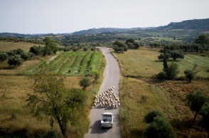 Χωράφια-Κλιματική Αλλαγή