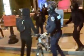 Διαδηλωτής ΗΠΑ