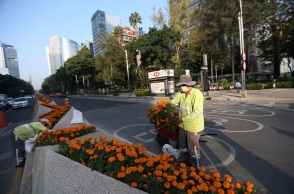 Εργαζόμενος σε δρόμο του Μεξικό