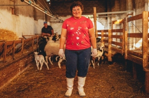 Βοσκοί της Αθήνας