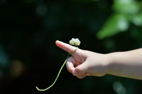 Ευρωπαϊκή Εβδομάδα για την Κυστική Ίνωση15-21 Νοεμβρίου