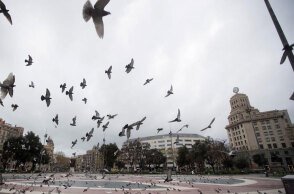 Κορωνοϊός στην Ισπανία: Άδεια από κόσμο κεντρική πλατεία στη Βαρκελώνη