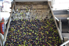 Ελαιοτριβείο