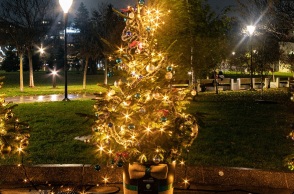 Χριστουγεννιάτικο δέντρο