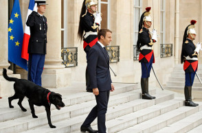  Ο πρόεδρος της Γαλλίας, Εμανουέλ Μακρόν, με τον σκύλο του, Nemo