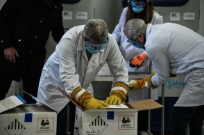 Εμβόλιο Pfizer/BionTech κατά του κορωνοϊού