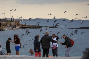 Στιγμιότυπο από βόλτα στην παραλία του Φλοίσβου