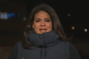 H δημοσιογράφος, Σάρα Σίντνερ 