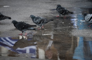Συγκέντρωση κατά της συμφωνίας των Πρεσπών, στο Σύνταγμα