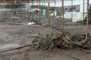 Λέσβος - Βροχοπτώσεις 