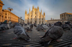 Κορωνοϊός στην Ιταλία: Περιστέρια στην Piazza del Duomo με φόντο τον Καθεδρικό της πόλης